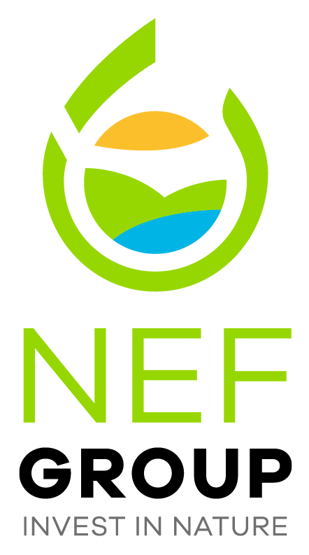 Nef_Group