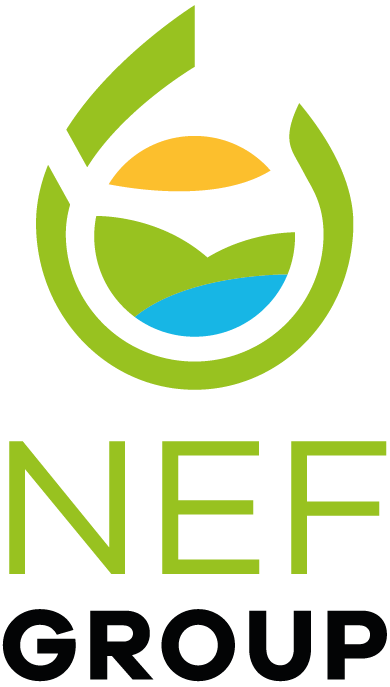 Nef_Group_ohne